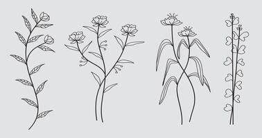 Hand drawn botanical art continuous line drawing of abstract flower, floral, rose, tropical leaves, spring and autumn leaf. illustration vector