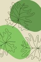 Line drawing of leaf monstera Modern boho single line art. vector