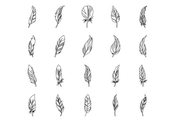 Feathers Decoration Illustration Set