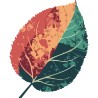 A leaf with a colorful pattern on it png