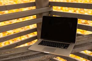 Notebook on autumn background with orange maple leaves photo