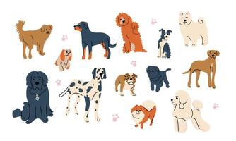 Cute dogs doodle set. Cartoon dog or puppy characters design collection with flat color in different poses. Set of funny pet animals isolated on white background. vector