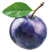 Freshly picked ripe plum with green leaf resting on white background, transparent png