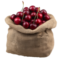 Fresh cherries piled in a burlap sack ready for harvest season, transparent png