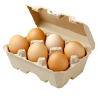 Fresh eggs arranged neatly in a carton on a clean surface, transparent png