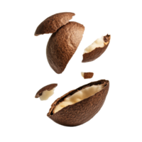 Cracked cocoa bean revealing white cocoa butter inside, transparent png