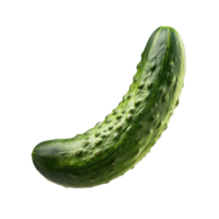 Fresh cucumber isolated on a white background, showcasing texture, transparent png