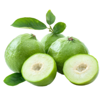 Fresh green guavas with leaves on a simple white background, transparent png