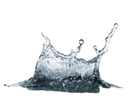 Water splash creating dynamic shapes on white background, transparent png