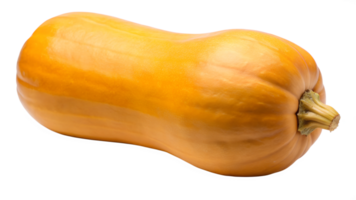 Butternut squash on white, ready to cook transparent png
