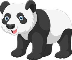 Cartoon cute little panda on white background vector