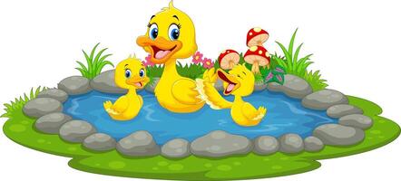 Mother duck and little ducklings swimming in the pond vector