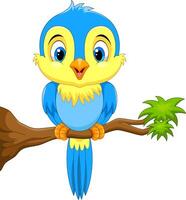 Cute little bird on a tree branch vector