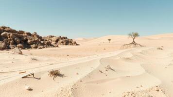 Sand dunes in the desert with a lone tree in the distance photo