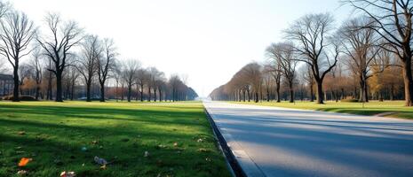 Empty Road Through Trees in Autumn photo