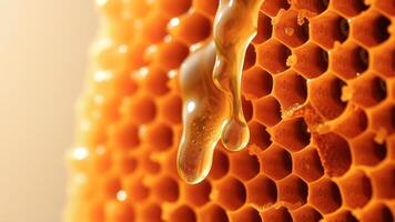 Honeycomb with Honey Dripping Down photo