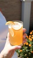 Cold Lemonade with Lemon Garnish photo