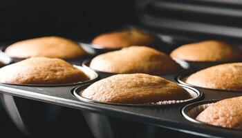 Close-up of freshly baked muffins in a baking pan photo