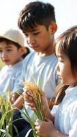 Children exploring nature in a field photo