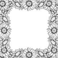 Square Sunflowers Frame with space for text. illustration Graphic Flowers Pen and Ink Drawing on white background. Botanical engraving design. EPS10 vector