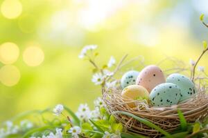Composition of easter decorations painted pastel eggs in the nest, spring blossom on blue background with copy space. photo
