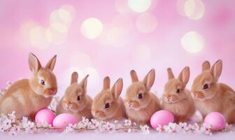 Group of five cute baby bunnies, adorable rabbits with easter eggs and spring flowers on pink pastel background with bokeh photo