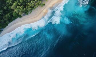 Aerial top view amazing beach with clear white sand and perfect nature, green forest peaceful. photo