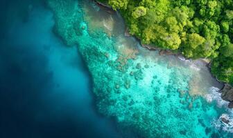 Aerial top view amazing beach with perfect nature, green forest peaceful and rock around island photo