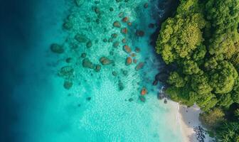 Aerial top view amazing beach with perfect nature, green forest peaceful and rock around island photo