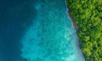 Aerial top view amazing beach with perfect nature, green forest peaceful and rock around island photo