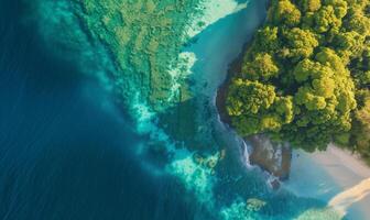 Aerial top view amazing beach with perfect nature, green forest peaceful and rock around island photo
