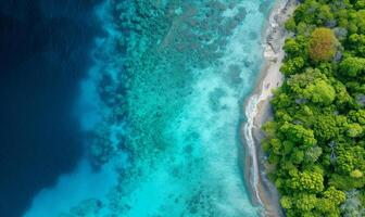 Aerial top view amazing beach with perfect nature, green forest peaceful and rock around island photo