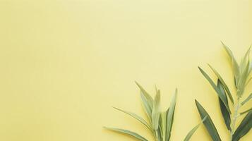 Elegant green olive branches on vibrant yellow background. Minimalist design with copy space. Symbolizing hope and victory. Perfect for cards. Invitations. Posters. Banners. Websites photo