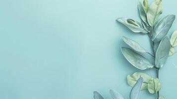 Green foliage forms a natural border around open space against a turquoise backdrop photo