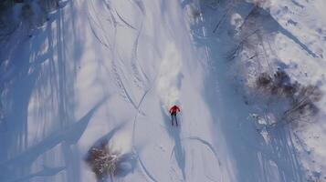 Skier carves a path through a snowy forest from an aerial perspective photo