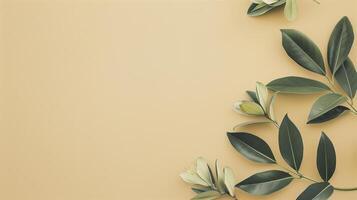Minimalist style green leaves framing a beige background with copy space photo