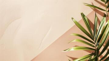 Palm leaf shadows on a soft pink backdrop evoke a sunny, tropical vibe photo