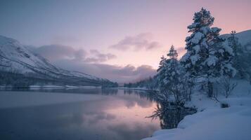 Snowy trees stand on the edge of a frozen lake, mirroring the stunning purple hues of a sunset photo