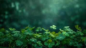 Shamrocks flourishing in a sunlit patch with a blurred bokeh backdrop photo