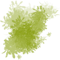 Abstract Green Foliage Texture with Floating Leaves png