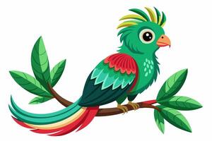 parrot on a branch vector
