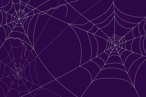 Flat background spider web on purple background vector
