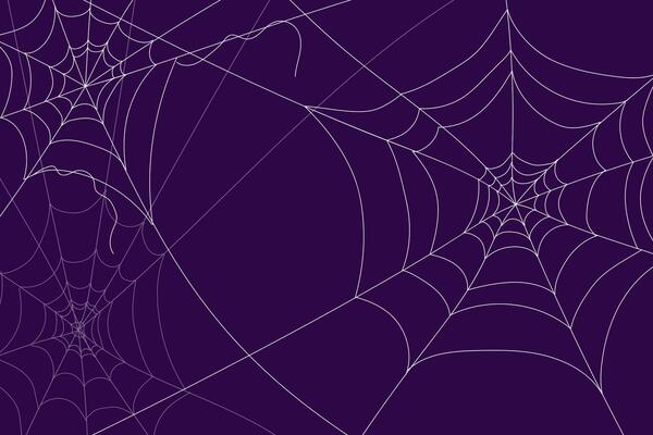 Flat background spider web on purple background