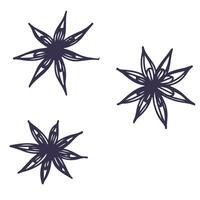 Line illustration of star anise set. Hand drawn icons isolated on white background vector