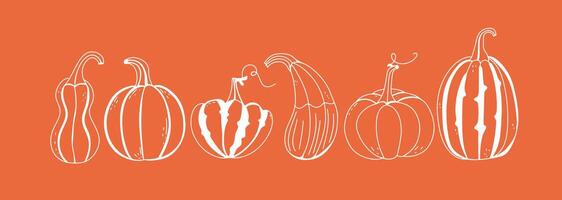 Doodle pumpkin set. Outline autumn design elements. Thanksgiving Day and Fall collection. vector