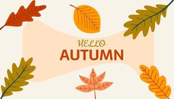 Hello Autumn background with colorful leaves. Fall background. vector