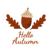 Hello Autumn design with text and acorn and leaves. illustration. vector