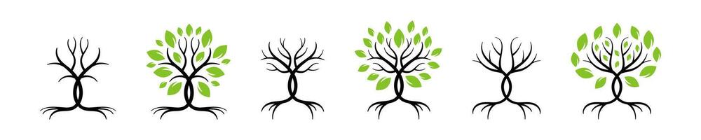 Tree logo. Tree with leaves illustration. Tree and roots icons. Tree with root. vector