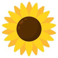 Sunflower icon in flat style isolated on white background. vector