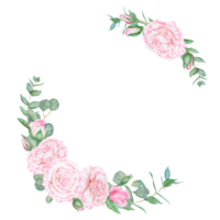 Light pink rose and eucalyptus. Watercolor botanical illustration. Hand drawn clipart, cut out and isolated. Realistic flower round frame for banner template with copy space for text in wedding prints png